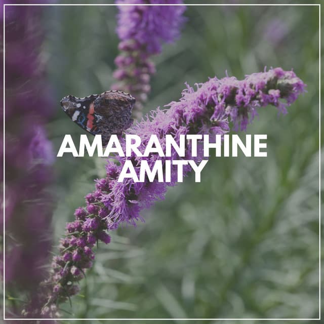 Amaranthine Amity - Relaxcation
