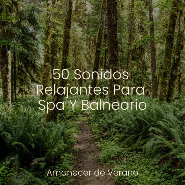 50 Sonidos Relajantes Para Spa Y Balneario - kinderliedjes