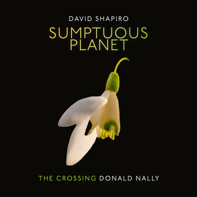 David Shapiro: Sumptuous Planet - David Shapiro