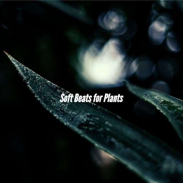 Soft Beats for Plants - Deluxe Cafe Jazz