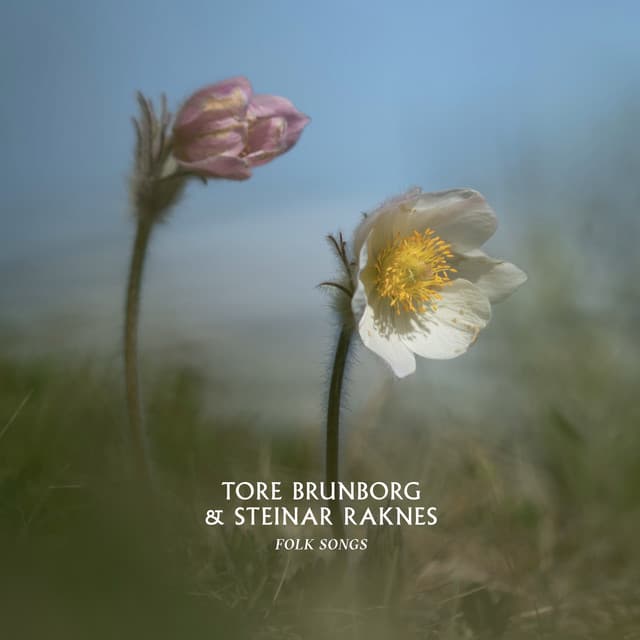 Folk Songs - Tore Brunborg