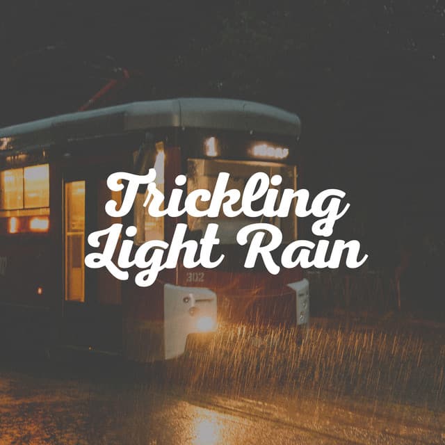 Trickling Light Rain - Best Rain Sounds ASMR
