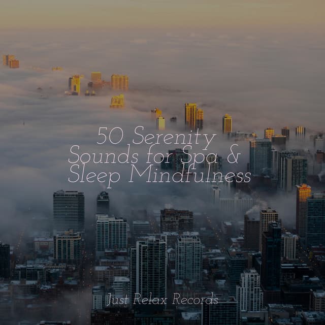 50 Serenity Sounds for Spa & Sleep Mindfulness - Meditation