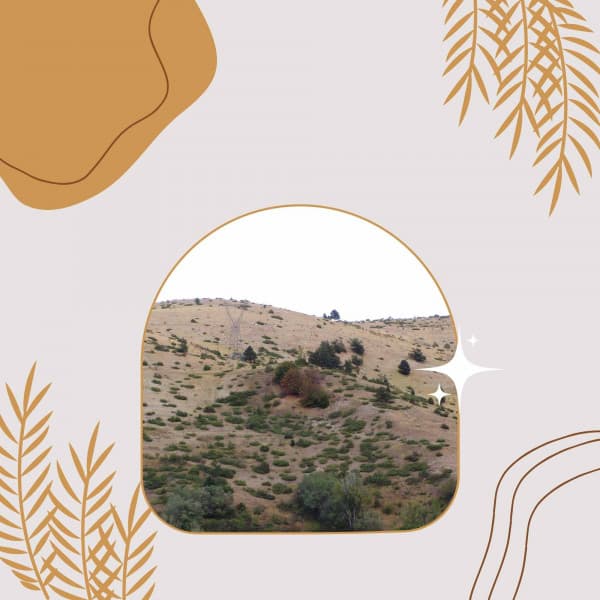 Music for Mental Recharging - Jazz Romance