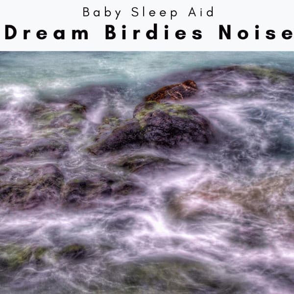 4 REM: Dream Birdies Noise - Baby Sleep Aid