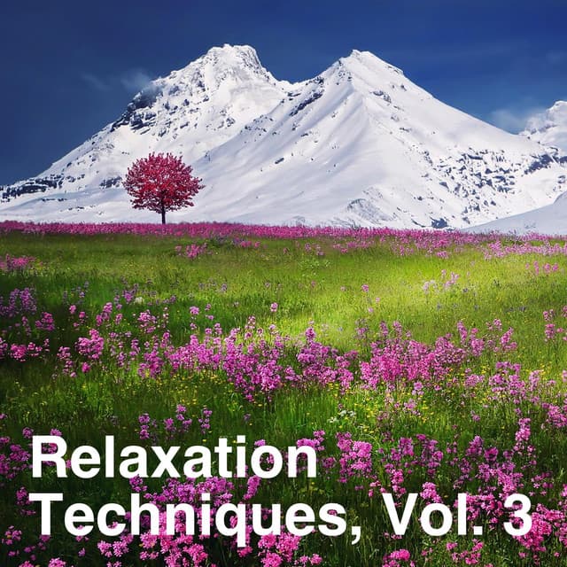 Relaxation Techniques, Vol. 3 - White Noise Collectors