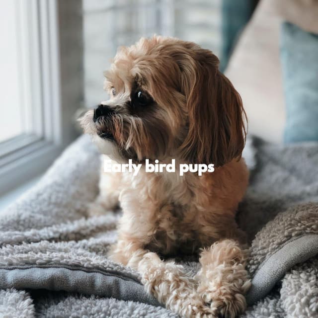 Early bird pups - Music for Dog's Ears
