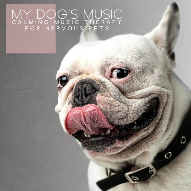 My Dog's Music. Calming Music Therapy for Nervous Pets- Treatment of Anxiety & Depression, Stress Relief - Pet Music Doctor