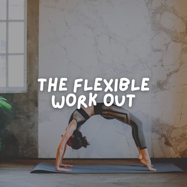 The Flexible Work Out - Workout Music Gym