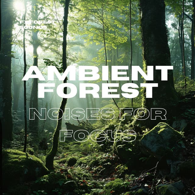 Ambient Forest Noises for Focus - FX Forest Sounds
