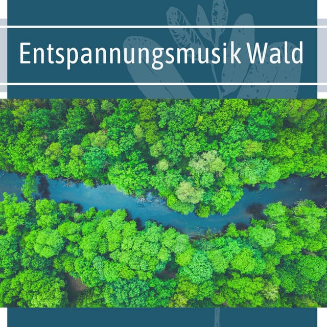 Entspannungsmusik Wald: Naturgeräusche zum Arbeiten - Healing Markrain