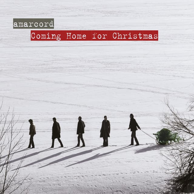 Coming Home for Christmas - Amarcord