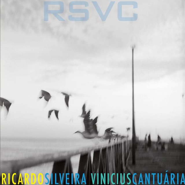 Rsvc - Ricardo Silveira