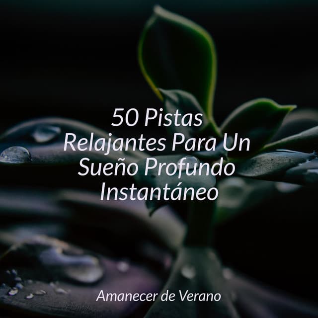 50 Pistas Relajantes Para Un Sueño Profundo Instantáneo - Yoga Sounds