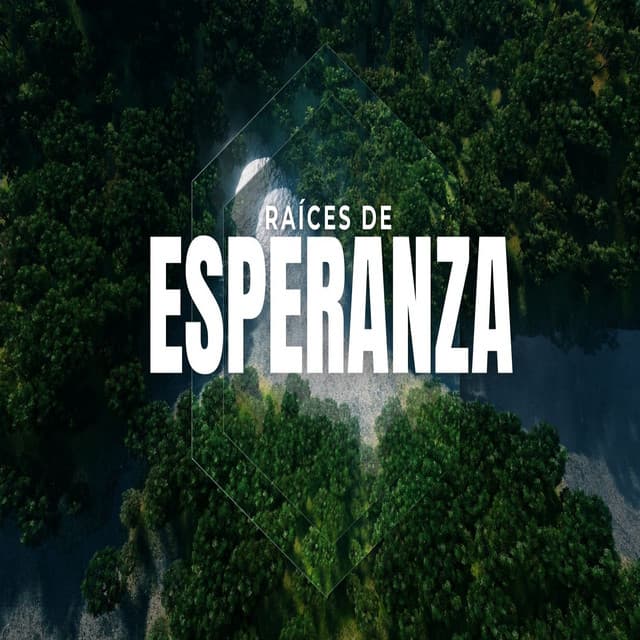 Raíces De Esperanza - Alabanzas Cristianas