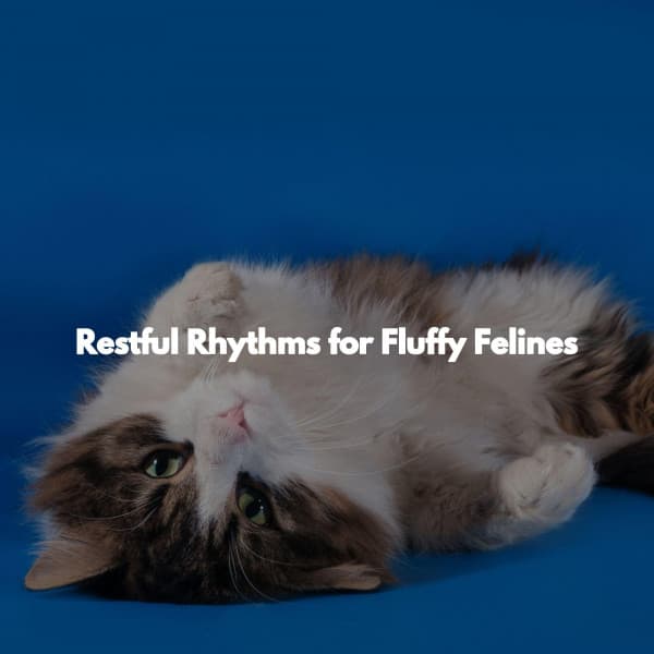 Restful Rhythms for Fluffy Felines - Perfect Weekend Jazz