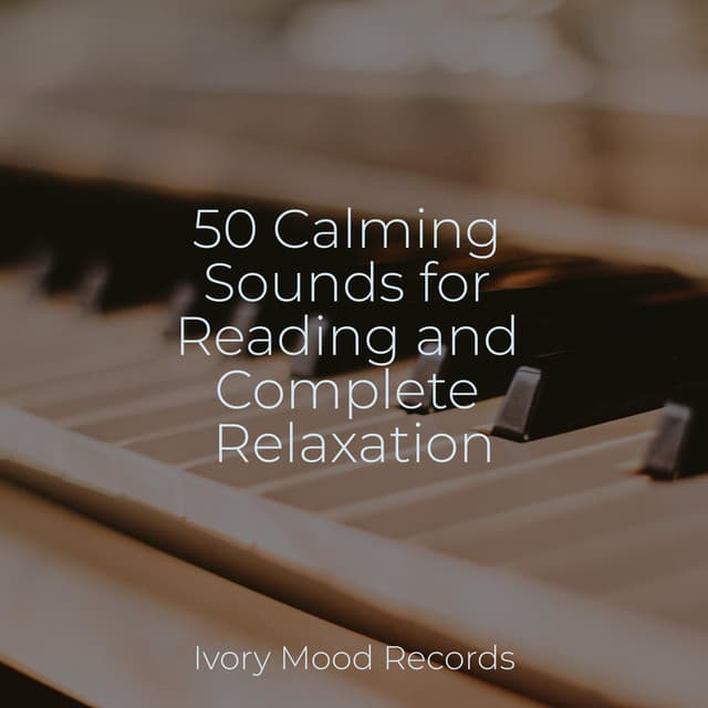 50 Calming Sounds for Reading and Complete Relaxation - Ivory Mood