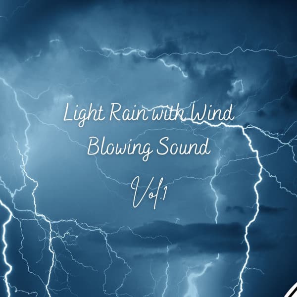 Light Rain with Wind Blowing Sound Vol. 1 - Rain Palace