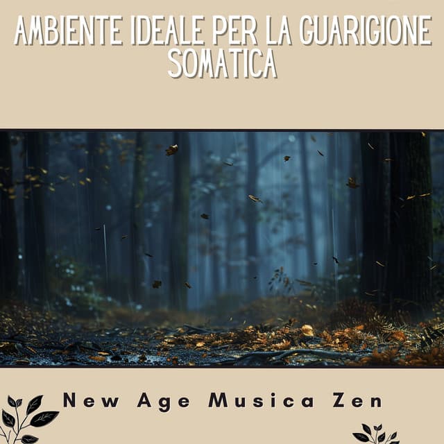 Ambiente ideale per la guarigione somatica - New Age Musica Zen