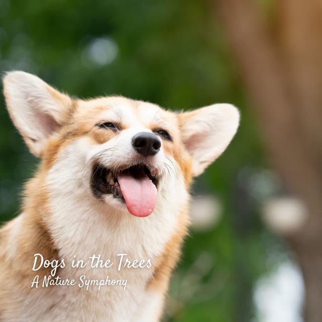 Dogs in the Trees: A Nature Symphony - Nature Vibrations