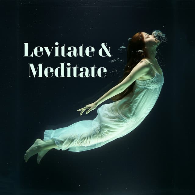 Meditate Now.