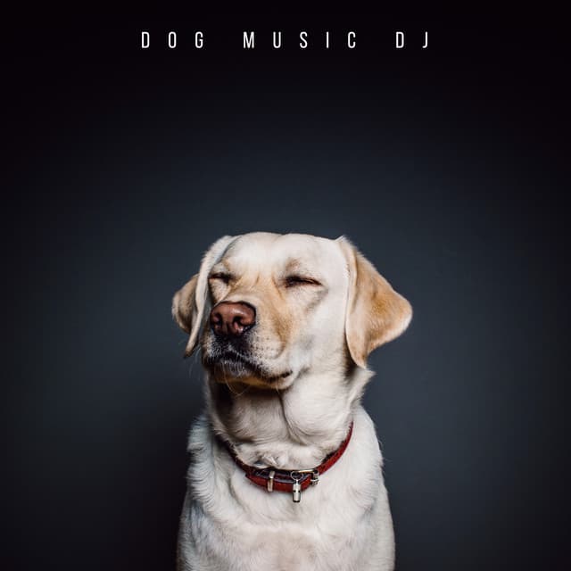 Tunes For Dogs - Dog Music DJ