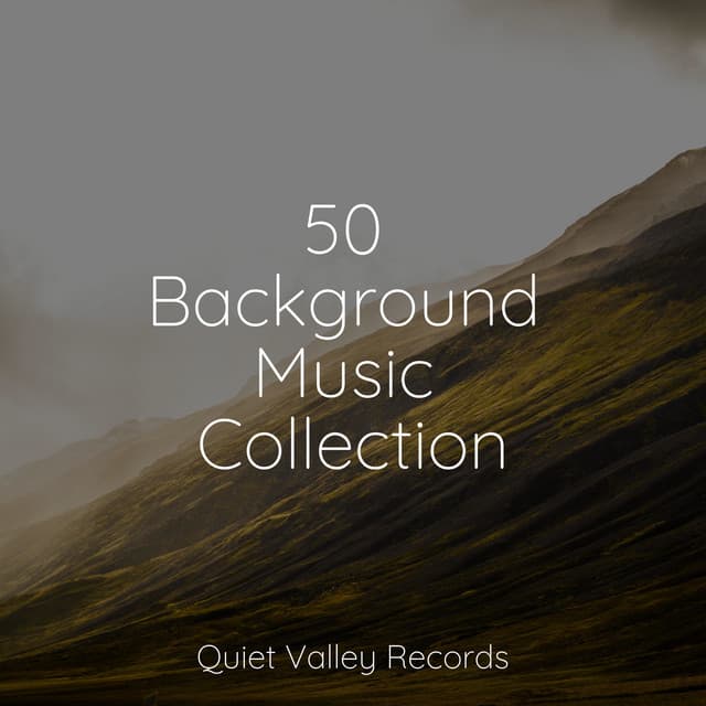 50 Background Music Collection - Rainfall For Sleep