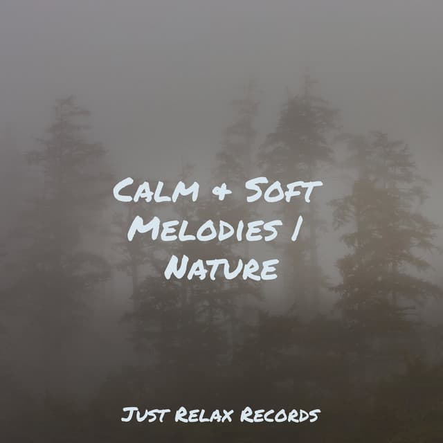 Calm & Soft Melodies | Nature - Mantra para Meditar