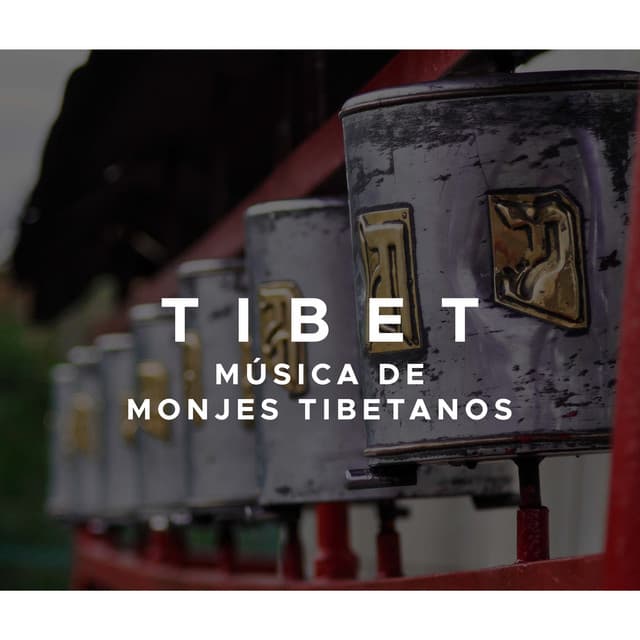 Tibet: Musica de Monjes Tibetanos para Mantras Tibetanos con Cuencos Tibetanos y Musica Relajante - Cuencos Tibetanos