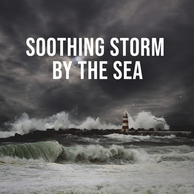 Soothing Storm by the Sea: Nature Sounds to Relax - Thunder Meditation