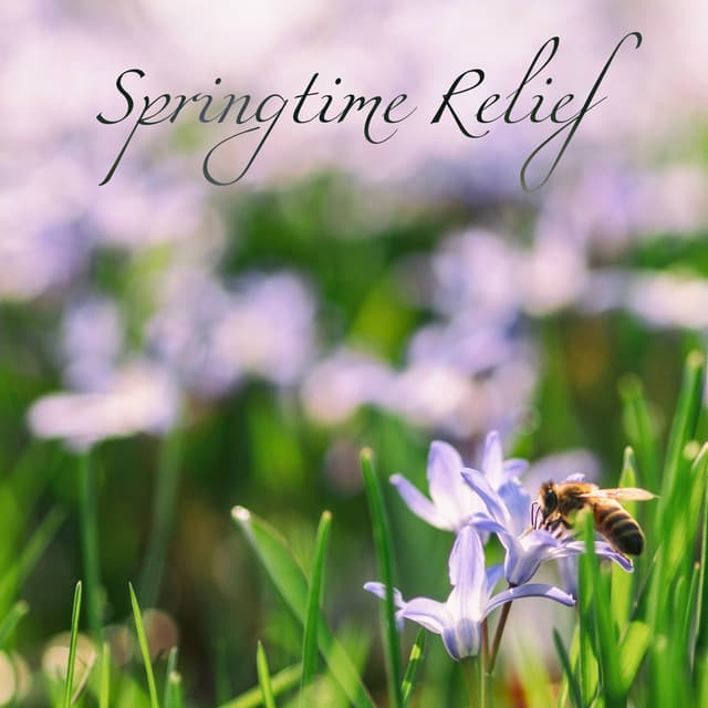Springtime Relief - Brain Study Music Guys