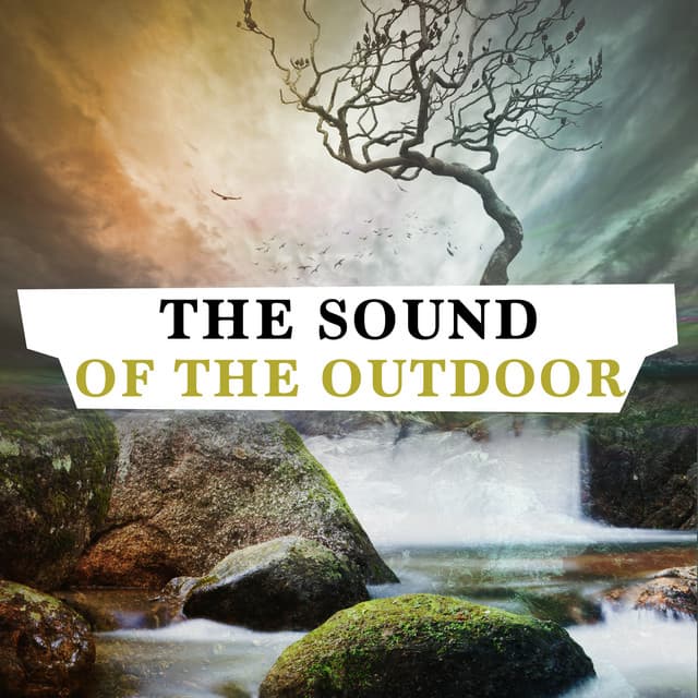 The Sound of the Outdoors - Sweet Baby Sleep Baby