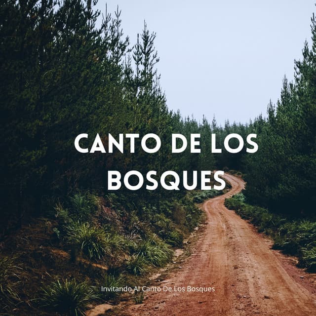 Invitando Al Canto De Los Bosques - La fuga del bosque