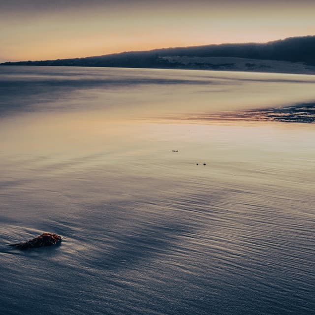 50 Ambient Waves: Seabed Stillness - Sea Waves Sounds