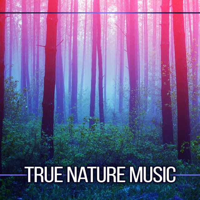 True Nature Music - The Calming Sounds Of Nature