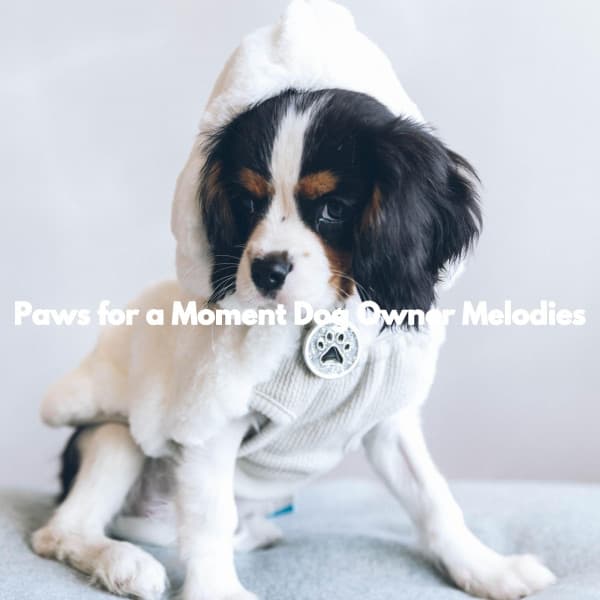 Paws for a Moment Dog Owner Melodies - Music for Dogs Radio