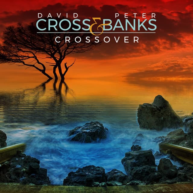Crossover - David Cross