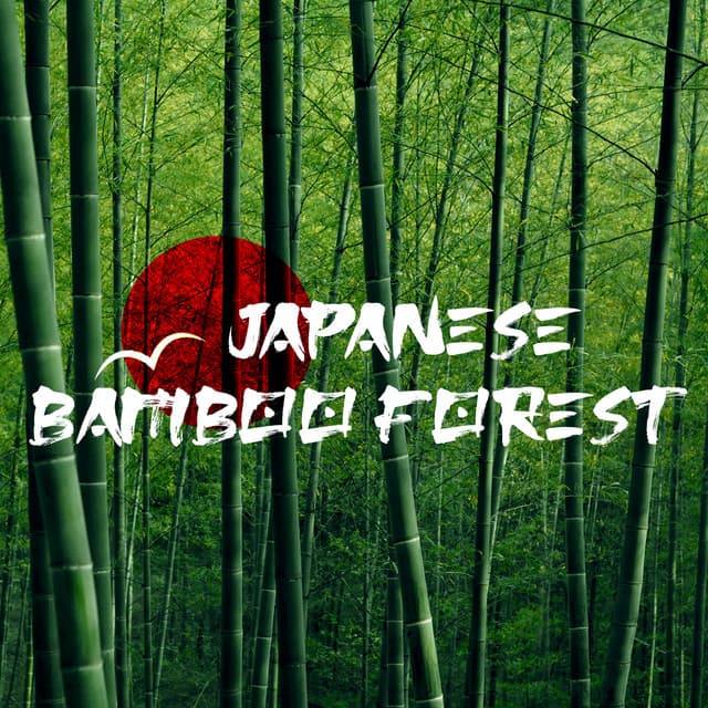 Japanese Bamboo Forest - Tom Barkes
