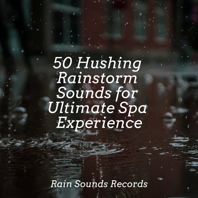 50 Hushing Rainstorm Sounds for Ultimate Spa Experience - Weather Factory