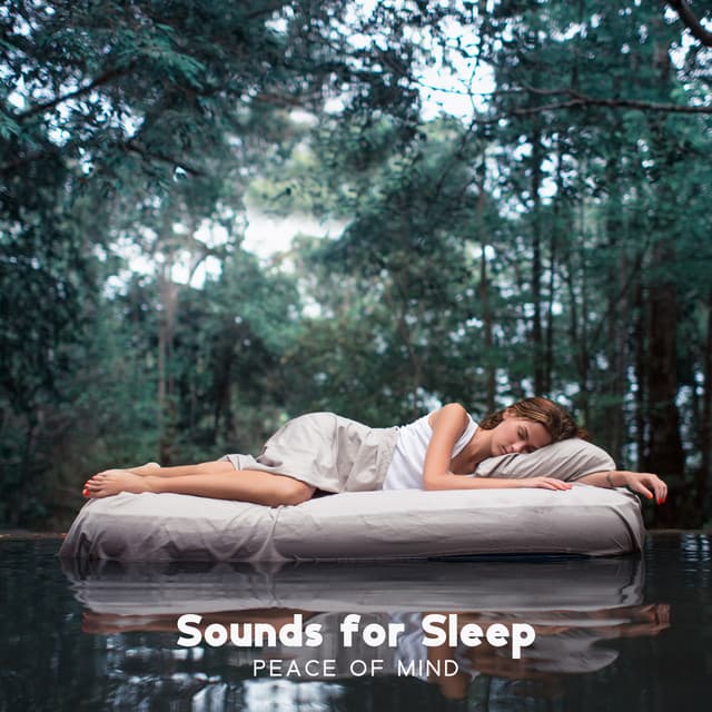Sounds for Sleep: Peace of Mind, Natural Baby Sleep, Soft Sound, Water & Rain, Sound of Silence - Música Mágica para Bebês de Sono