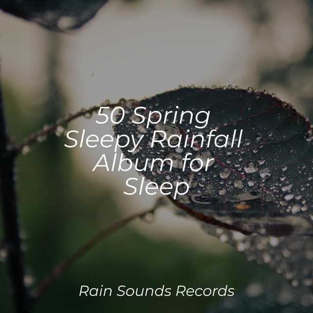 50 Spring Sleepy Rainfall Album for Sleep - Nature Sounds