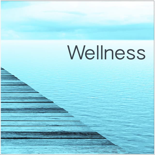 Wellness - Reiki Music