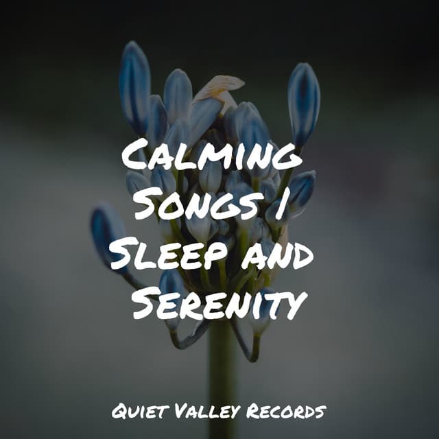 Calming Songs | Sleep and Serenity - Rain Sounds Factory STHLM