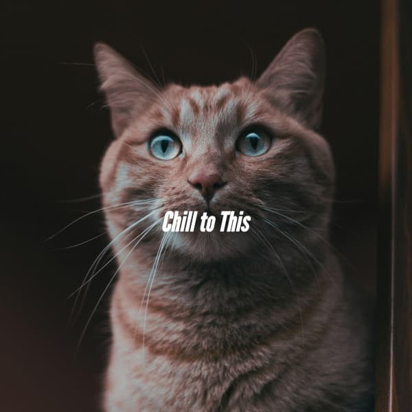 Chill to This - Chill Lounge Vibes