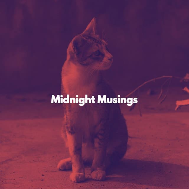 Midnight Musings - Música para dormir Gatos