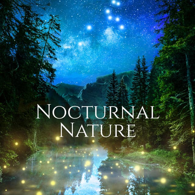 Nocturnal Nature: Sounds of the Night, Soothing Nature for Deep Sleep - Relaxing Night Music Academy