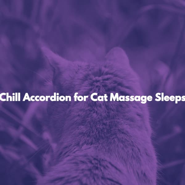 Chill Accordion for Cat Massage Sleeps - Lavoro da Casa Play List