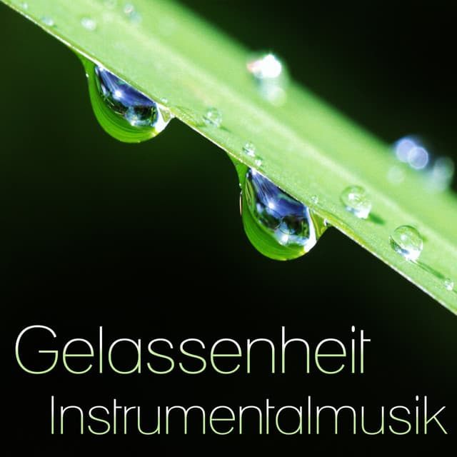 Gelassenheit Instrumentalmusik: Energieheilung Meditation, Yoga-Musik, Spa, Massage, Naturgeräusche für die Schlaftherapie - Entspannungmusik Academy