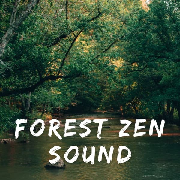 Forest Zen Sound - Rainfall Sound for Sleep