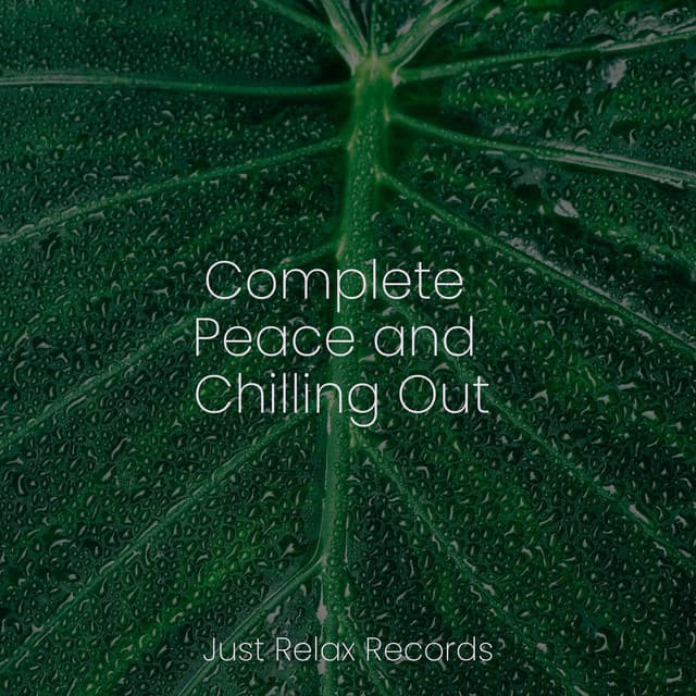 Complete Peace and Chilling Out - Alpha Waves